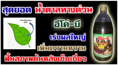 iTopPlus525215680948