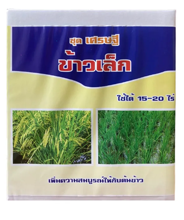 ข้าวเล็ก