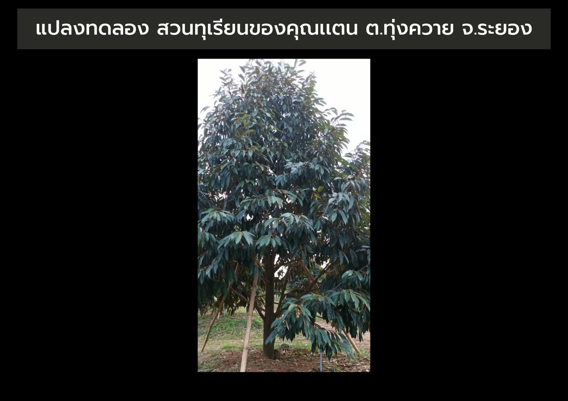 เพิ่มหัวเรื่อง