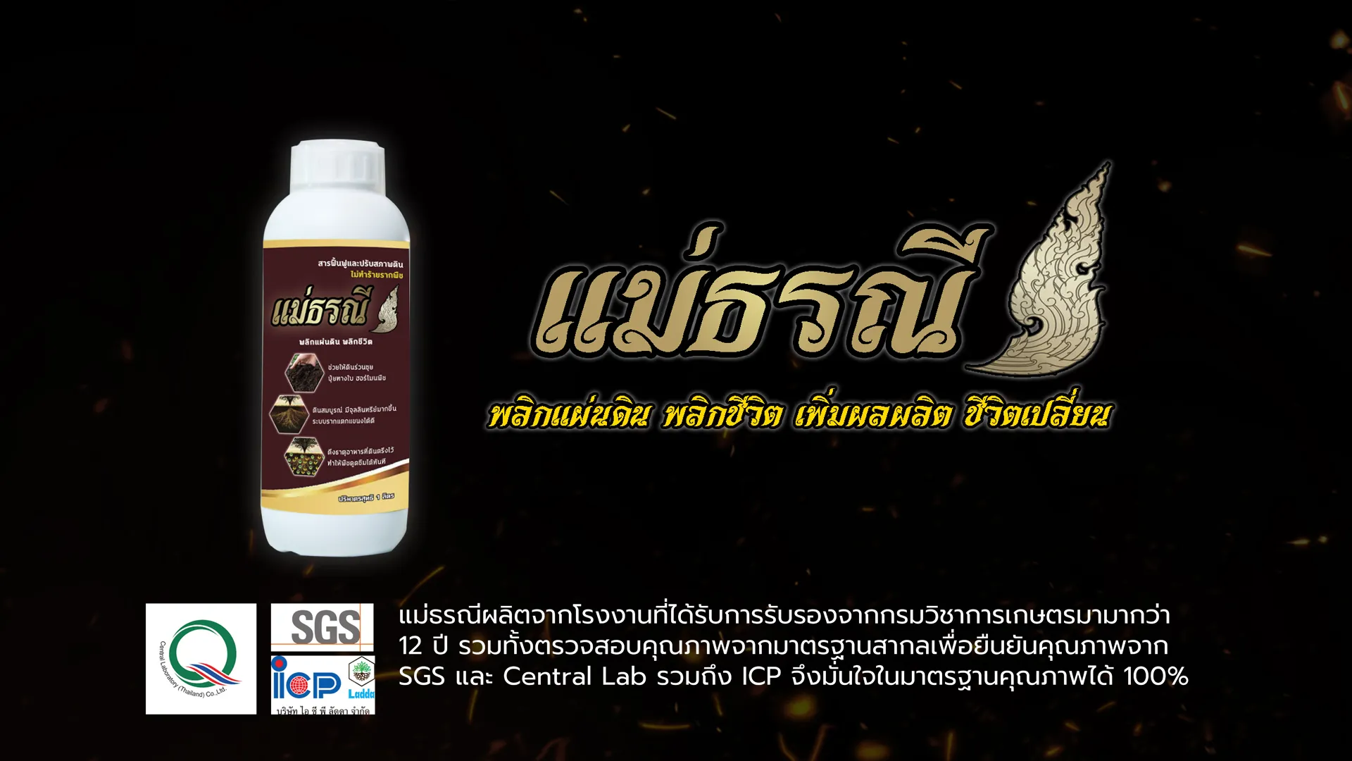 แม่ธรณีเว็บ