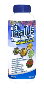 ดีไซน์ที่ยังไม่ได้ตั้งชื่อ