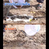 คืนดินดีกระทืบดิน