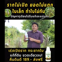 คืนดินดีฟื้นฟูสภาพต้นทุเรียนมีบาร์