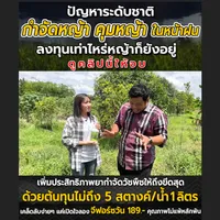 จีฟอร์ซวันยาคุมหญ้า