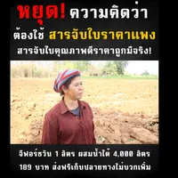 จีฟอร์ซวันหยุดใช้ของแพง