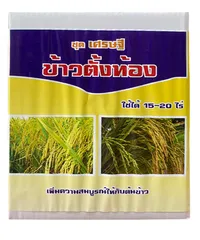 ตั้งท้อง