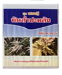 มันสำปะหลัง