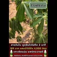 รีวิวดูดซึมไว