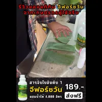 รีวิวแพร่กระจายเปรียบเทียบ