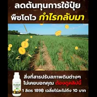 สารปรับสภาพดินเงินในดิน