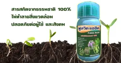 iTopPlus1242305024268