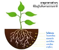 iTopPlus670849754730