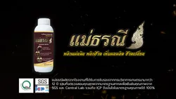 แม่ธรณีเว็บ
