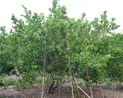 iTopPlus860940972478