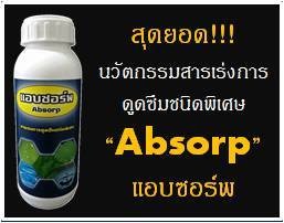 iTopPlus226983763839