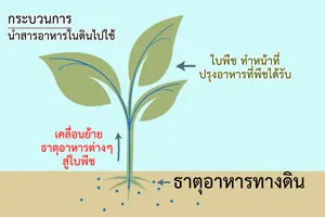 iTopPlus49617042440