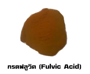 iTopPlus73762122486