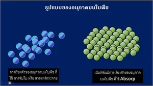 iTopPlus847696701666
