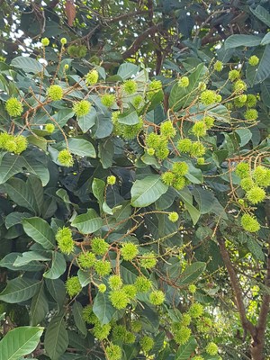 iTopPlus864805238004