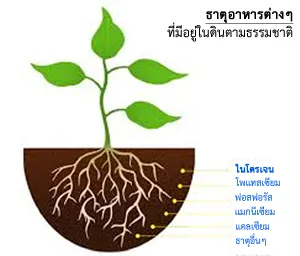 iTopPlus907629176025