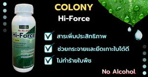 งานออกแบบที่ไม่มีชื่อ