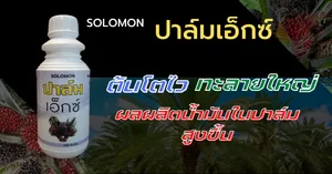 สารจับใบชนิดพิเศษ(1)