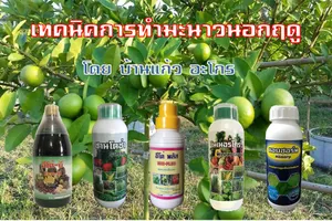 iTopPlus543070947992