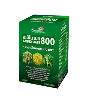 กล่องอะมิโนเมท800