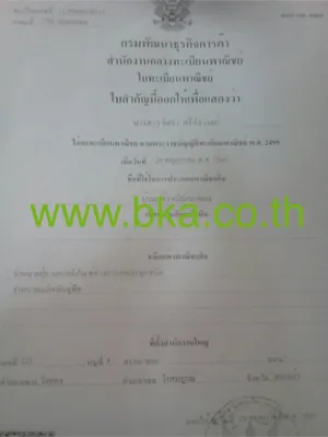 iTopPlus1231324219134