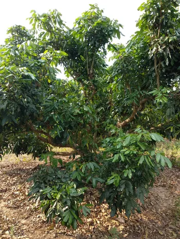iTopPlus640088446980