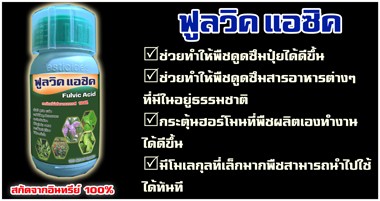 iTopPlus258612214610