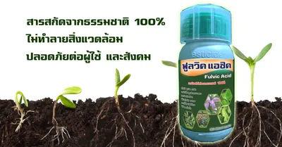 iTopPlus233138937270