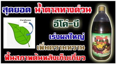 iTopPlus299227689465