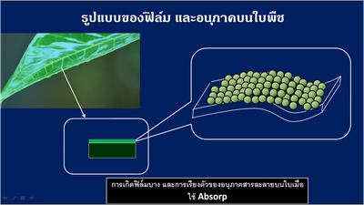 iTopPlus443293909906