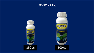 iTopPlus643895572316