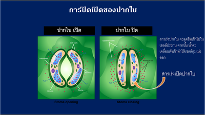 iTopPlus760101014152
