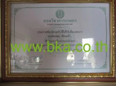 iTopPlus90619077916