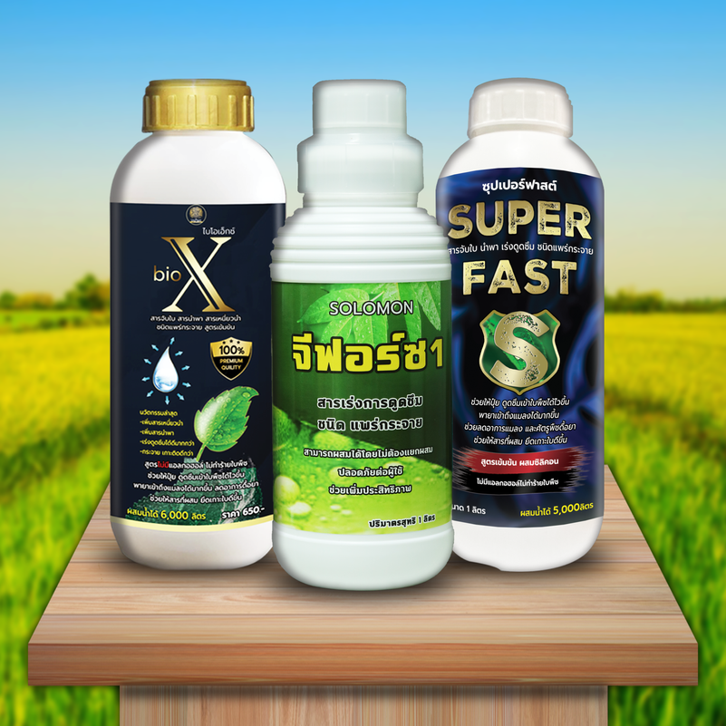 GBioXSpฟาสต์(เว็บ)