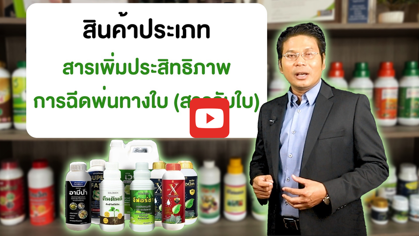 ดีไซน์ที่ยังไม่ได้ตั้งชื่อ