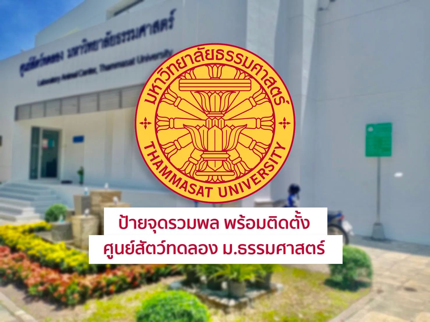 ปก
