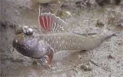 iTopPlus876137911931