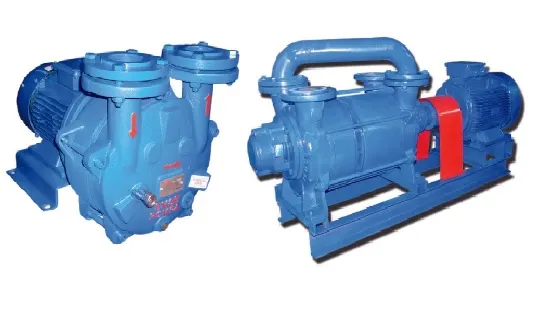 LiquidRingVacuumPump