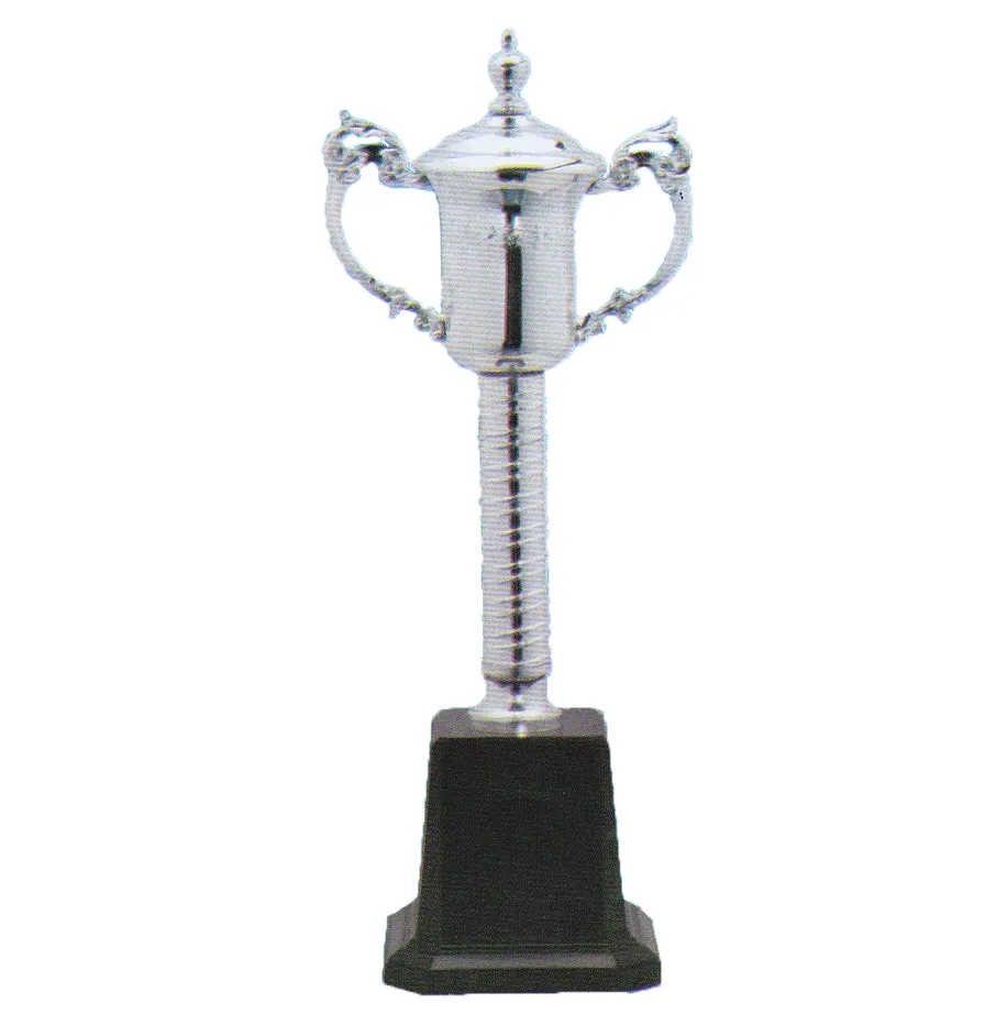 iTopPlus475790969259
