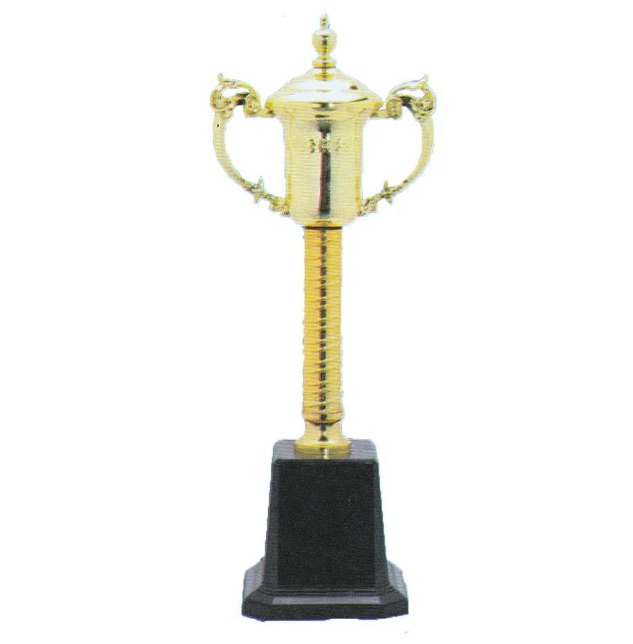 iTopPlus745420513571