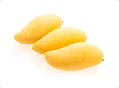 iTopPlus1348735917651