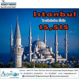 iTopPlus1231828031335
