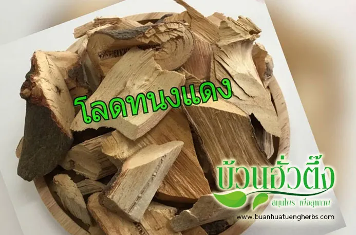 buanhuatuengherbs1