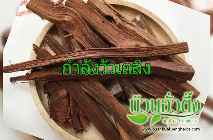buanhuatuengherbs1