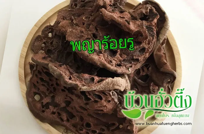 buanhuatuengherbs1