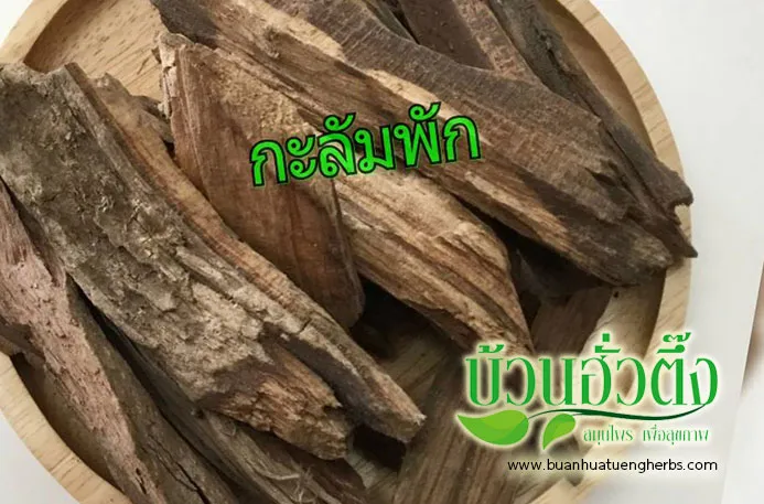 buanhuatuengherbs1